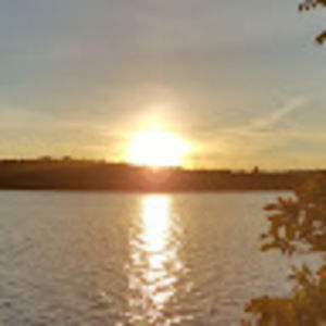 Meet your Posher, Janine